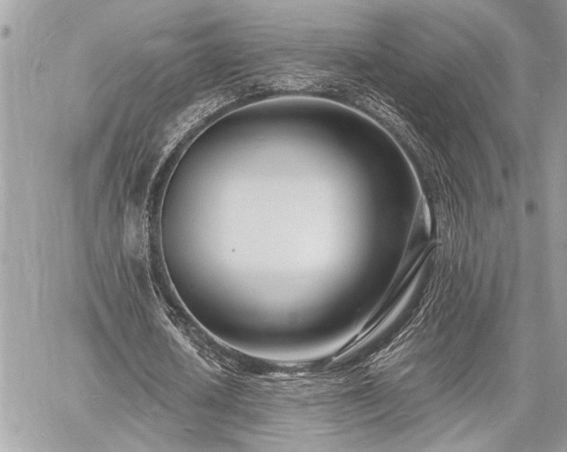 X0000060740626200511141134