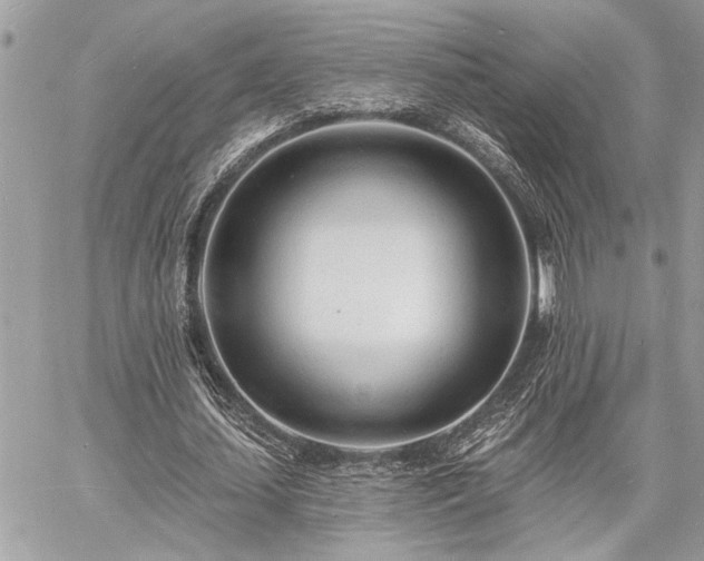 X0000060740627200511141134