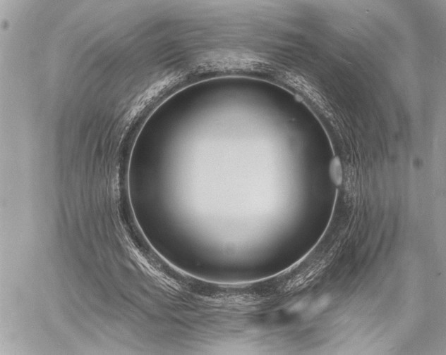 X0000060740629200511141134