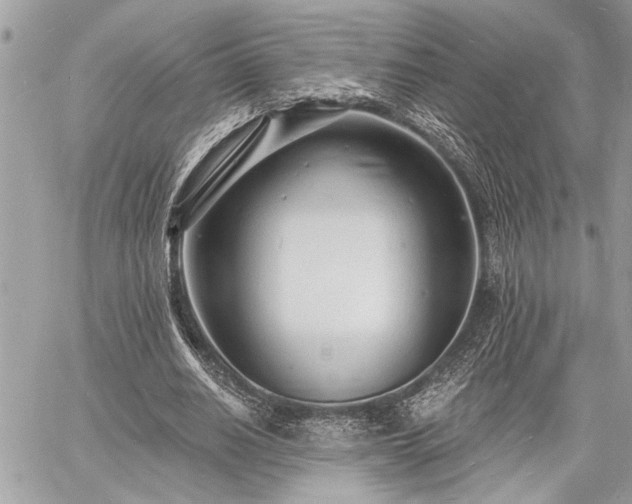 X0000060740630200511141134