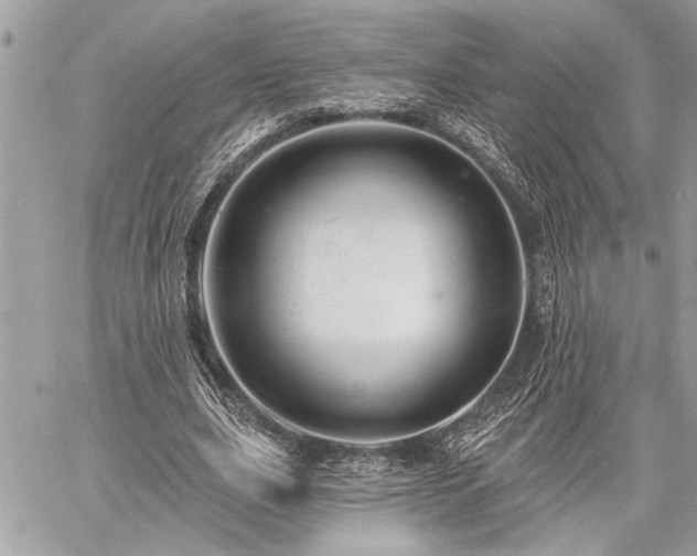 X0000060740631200511141134