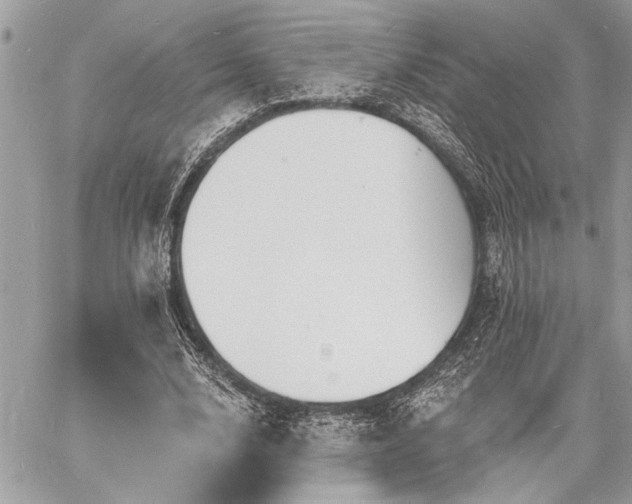 X0000060740632200511141134