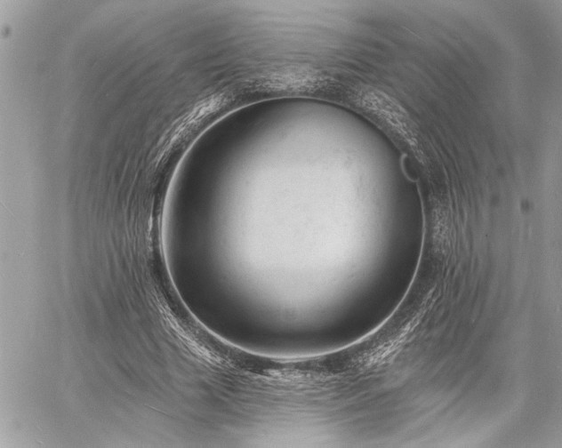 X0000060740633200511141134