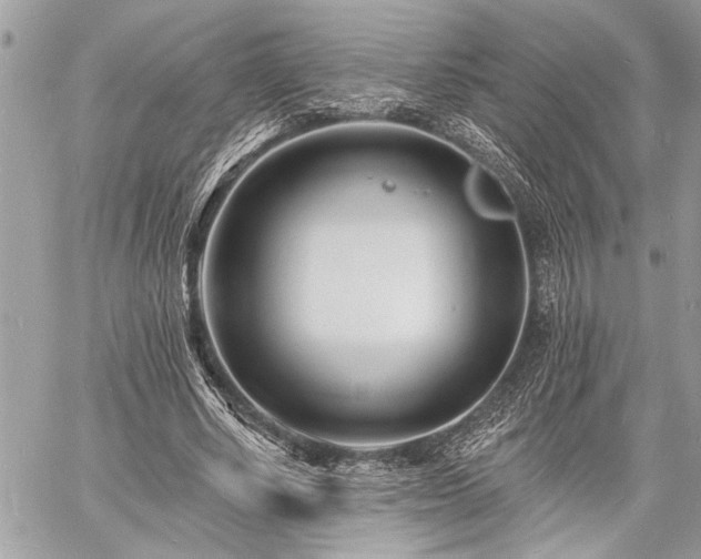 X0000060740634200511141134