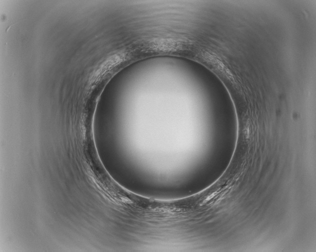 X0000060740635200511141134