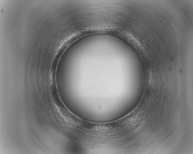 X0000060740636200511141134