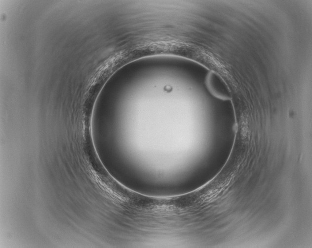 X0000060740637200511141134