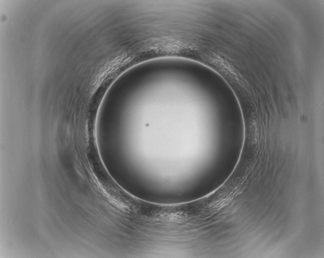 X0000060740638200511141134