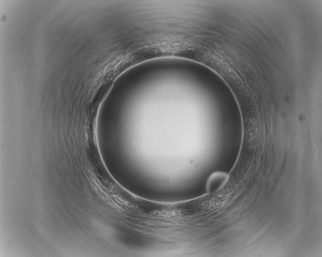 X0000060740639200511141134