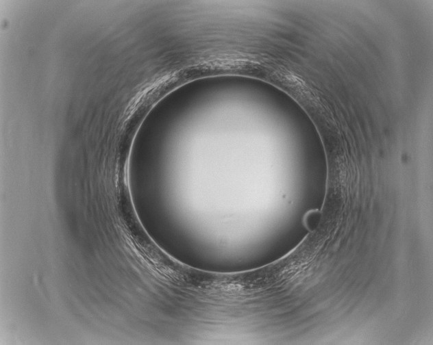 X0000060740640200511141134