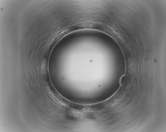 X0000060740641200511141134