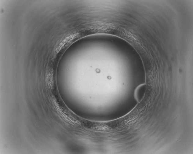 X0000060740642200511141134