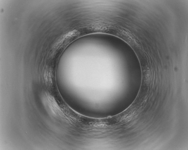 X0000060740643200511141134