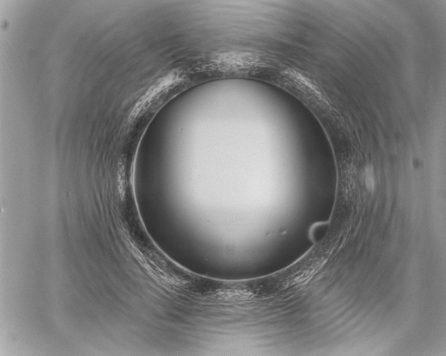 X0000060740644200511141134