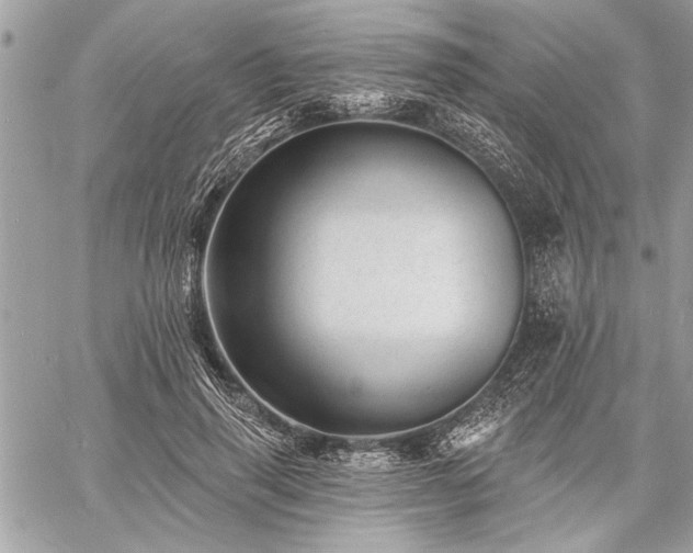 X0000060740645200511141134