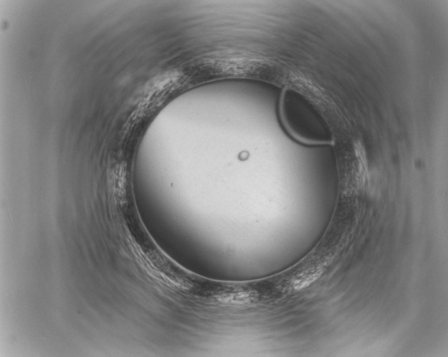 X0000060740646200511141134