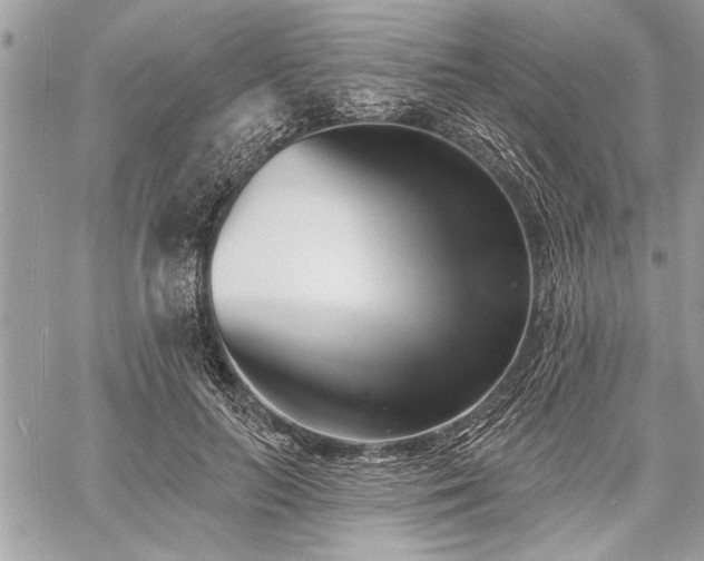 X0000060740647200511141134