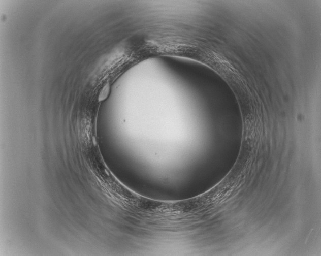 X0000060740648200511141134