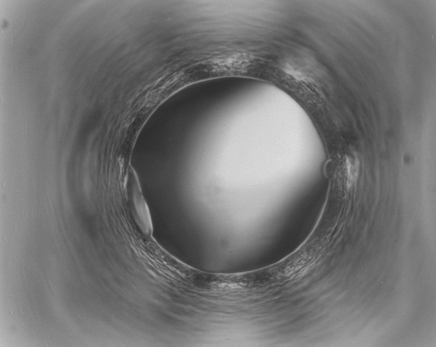 X0000060740649200511141134