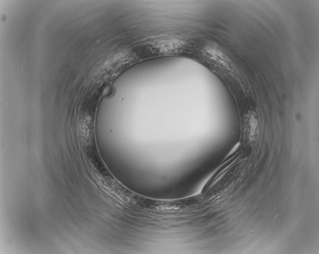 X0000060740650200511141134