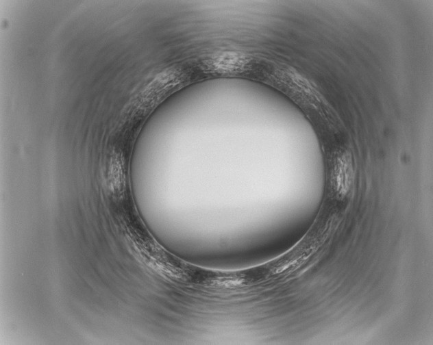 X0000060740651200511141134