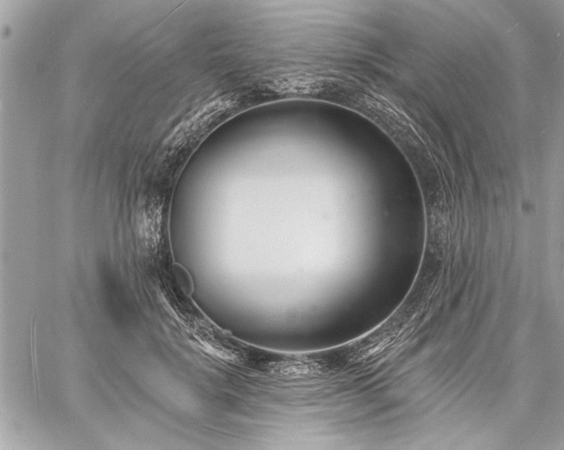 X0000060740652200511141134