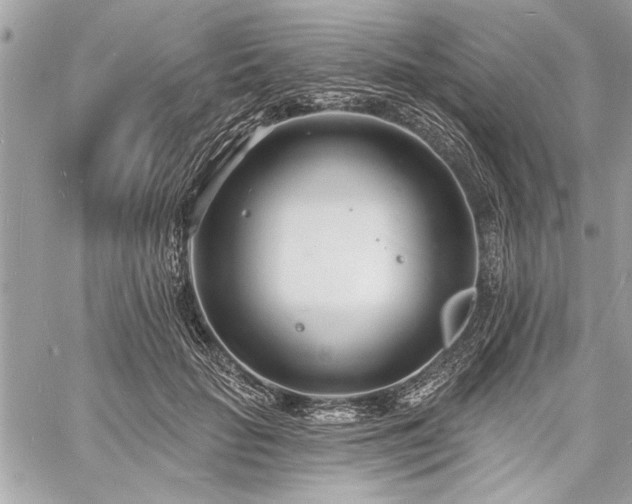 X0000060740653200511141134