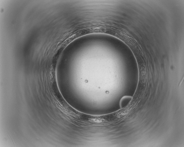 X0000060740654200511141134