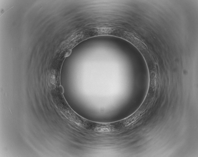 X0000060740655200511141134