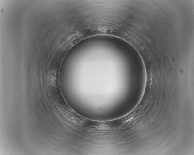 X0000060740656200511141134