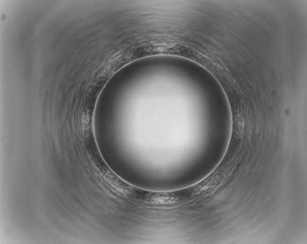 X0000060740657200511141134