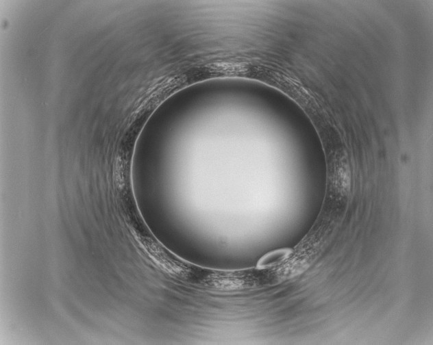 X0000060740658200511141134