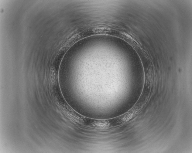 X0000060740659200511141134