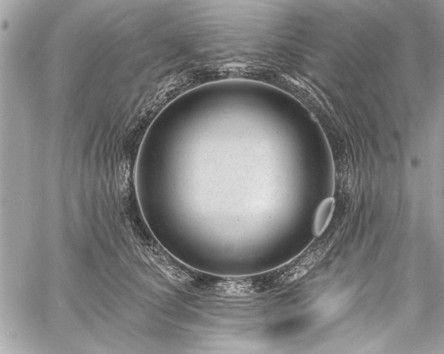 X0000060740660200511141134