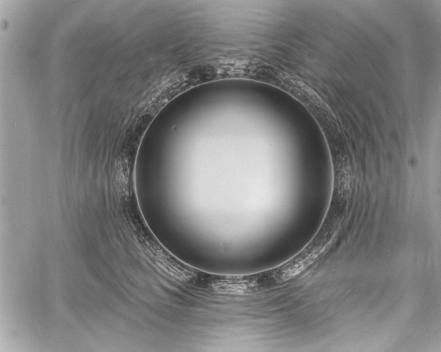 X0000060740661200511141134