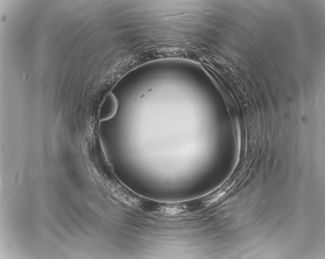 X0000060740662200511141134