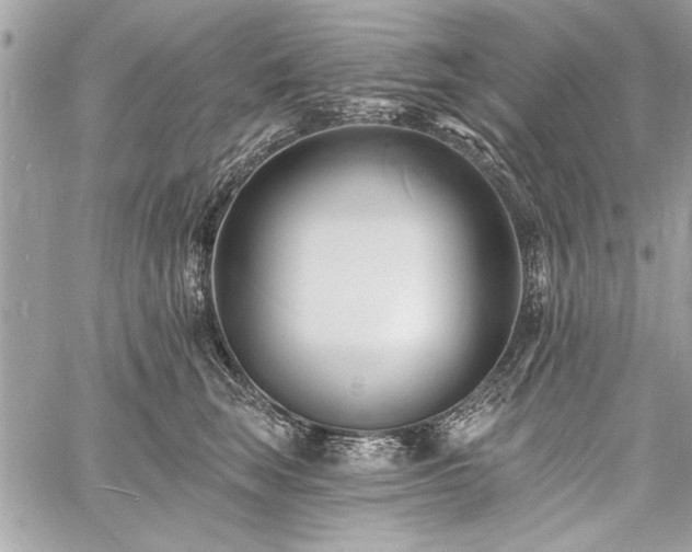 X0000060740663200511141134