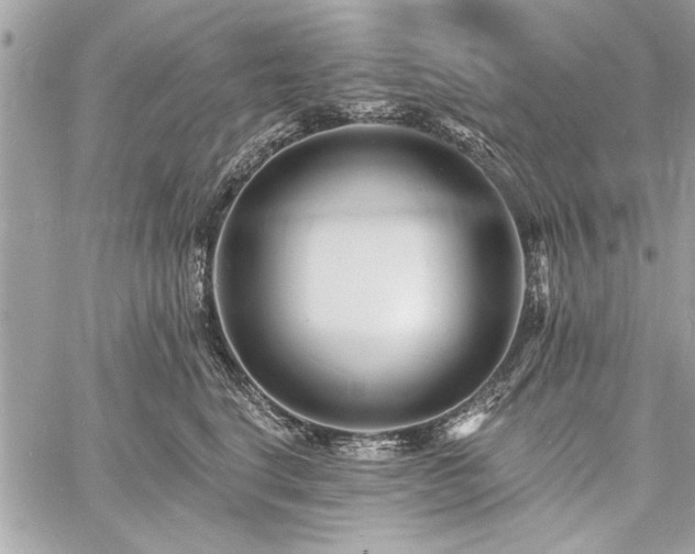 X0000060740664200511141134