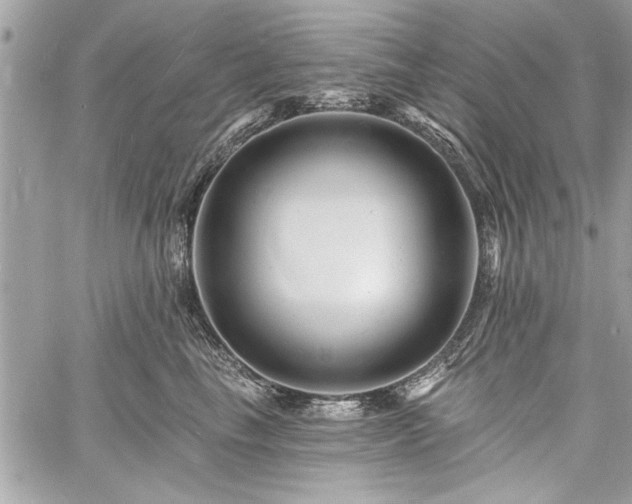 X0000060740665200511141134