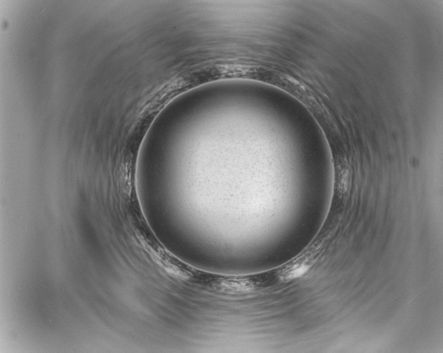 X0000060740666200511141134