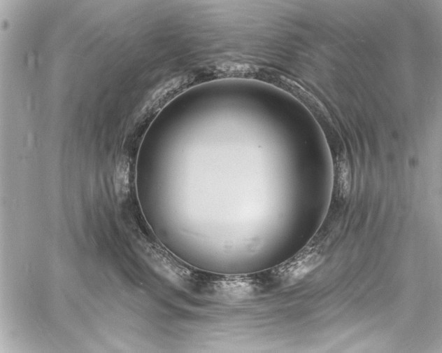 X0000060740668200511141134