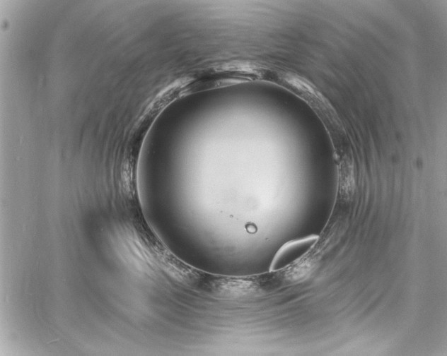 X0000060740669200511141134