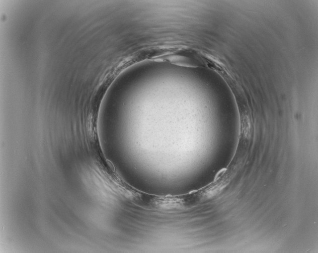 X0000060740670200511141134