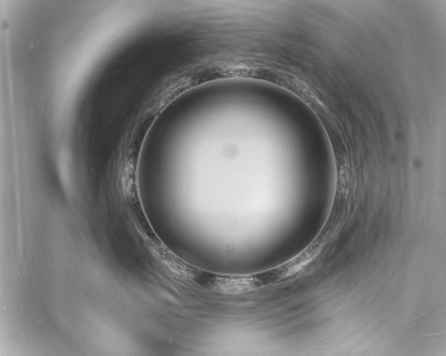 X0000060740671200511141134