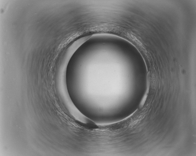 X0000060740673200511141134