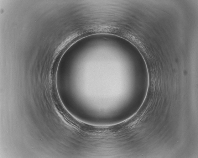 X0000060740674200511141133