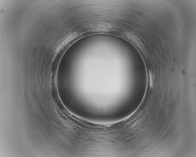 X0000060740675200511141133