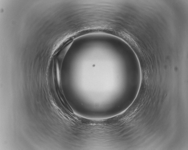 X0000060740676200511141133