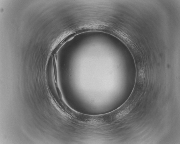 X0000060740678200511141133