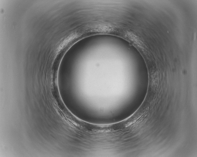 X0000060740679200511141133